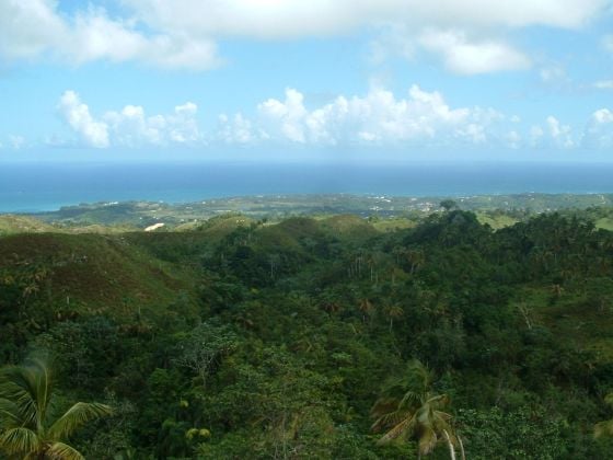 Land Near Las Terrenas, Atlantic Coast