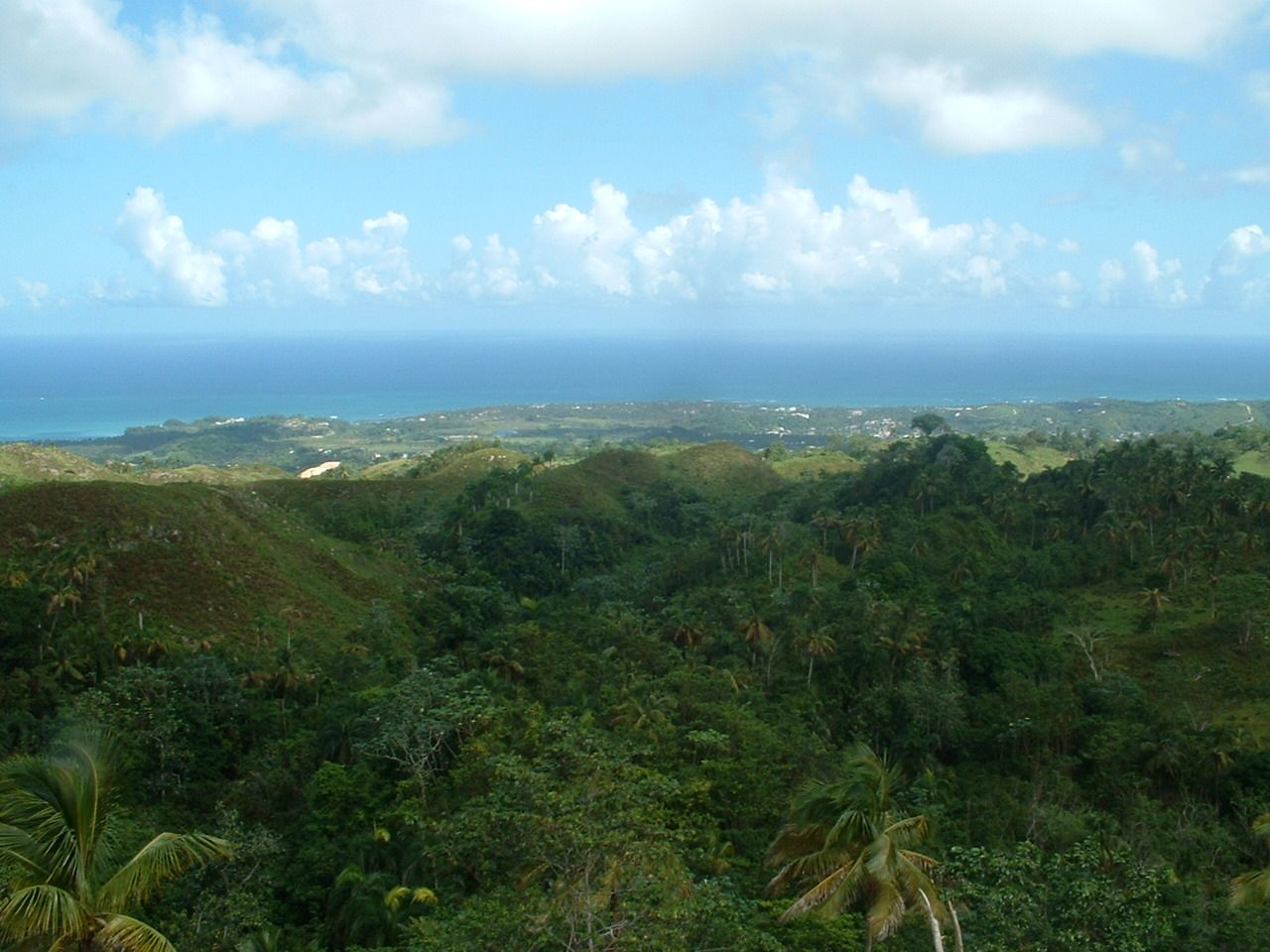 Land Near Las Terrenas, Atlantic Coast