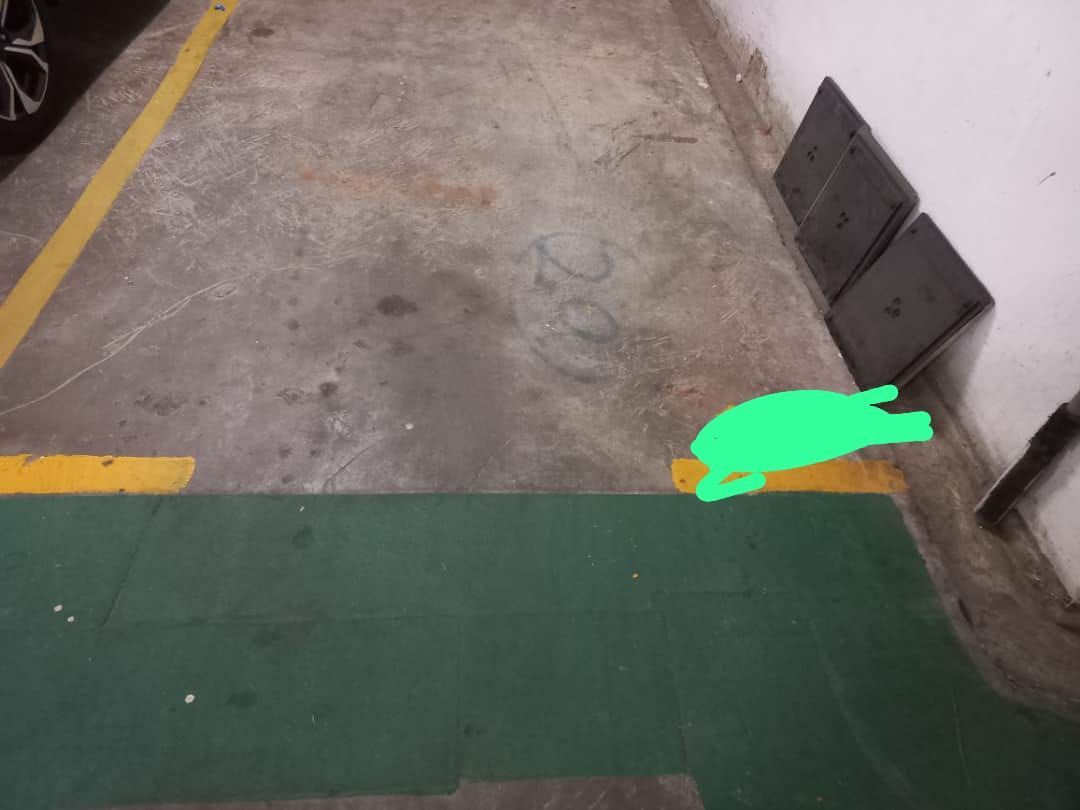 Car renting space available in kl, regalia residence, Parking space for