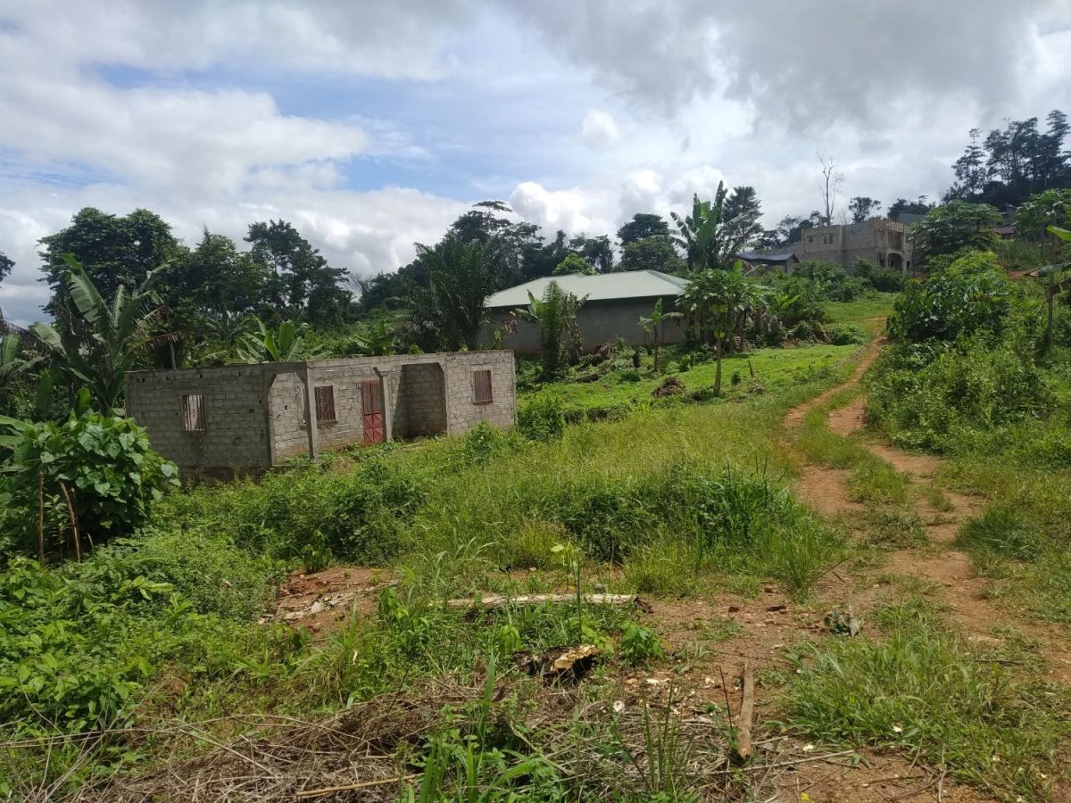 Terrain titré à vendre à nkoabang entre 500 et 2800 m2, Terrain à