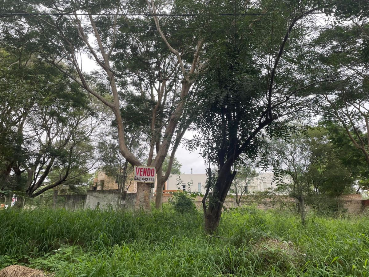 Lambare centro barrio kennedy for sale large property with house with