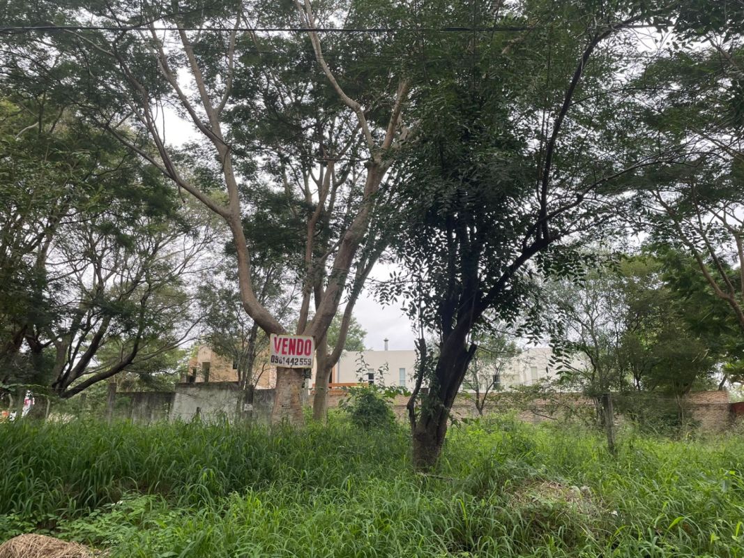 Lambare centro barrio kennedy for sale large property with house with pool, 1800 mts2., Land