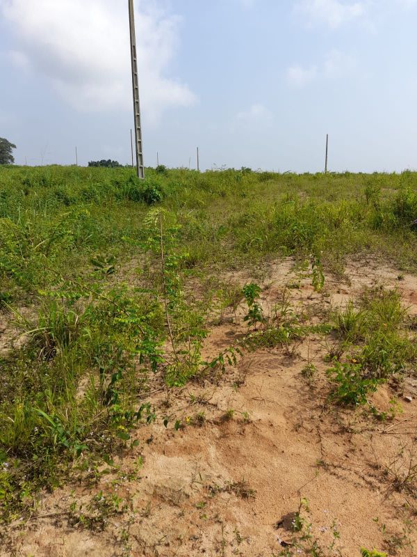 Terrain à vendre à brofodoumé / abidjan, à Abidjan Côte d'Ivoire