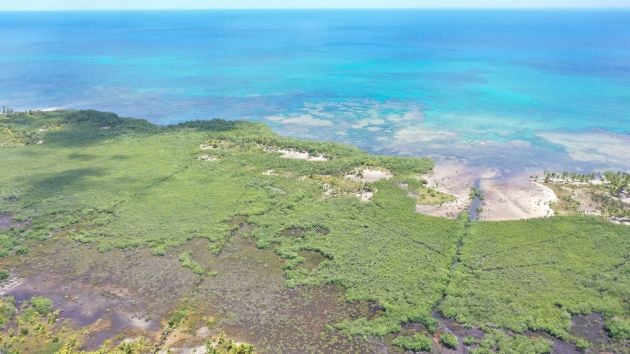 Exclusive Large Exclusive Lot With 450 Linear Meters Of Beach