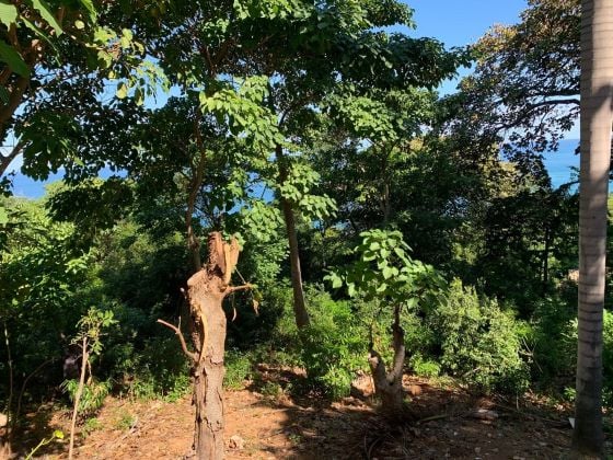 Terreno con vista al mar de primer nivel y muy buscado a la venta en ...