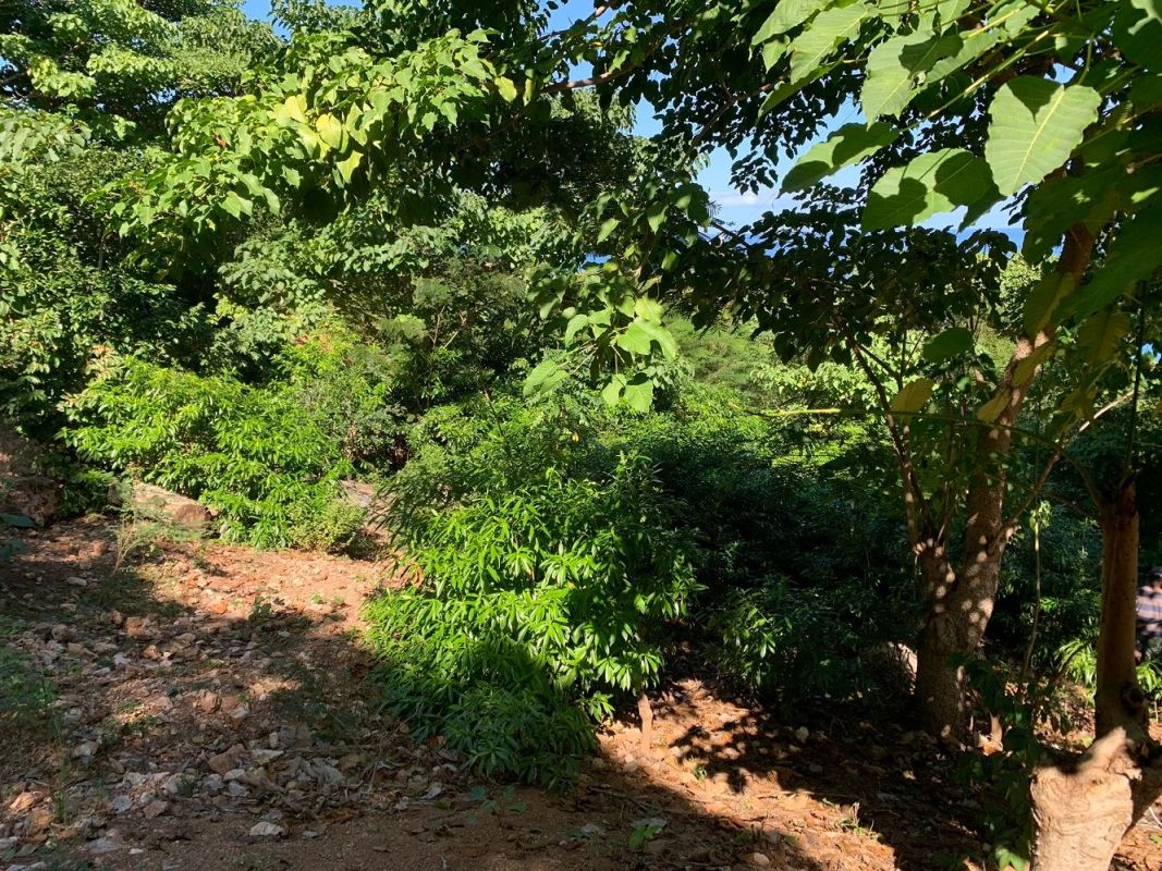 Terrain de choix et très recherché avec vue sur l'océan à vendre à