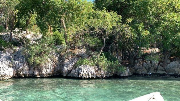 Frente a la playa, vista al mar, terreno frente al mar muy buscado en ...
