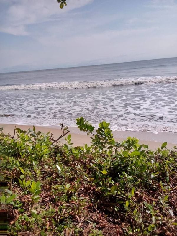 Titled land by the sea in kribi cameron 8, Land for sale Kribi, south