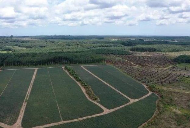 À vendre 1 ha bonoua zone industrielle côte d'ivoire pour ...