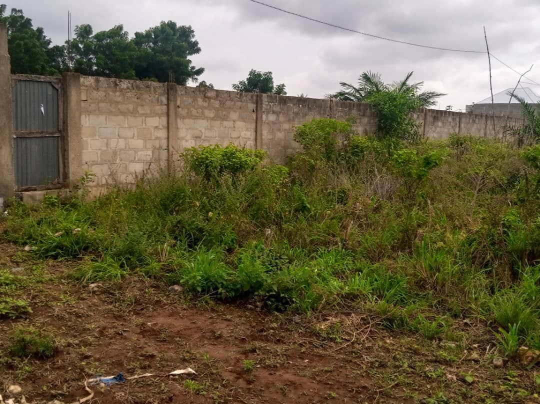 Fenced land of lots for sale in adidogomé ségbé kpodji (lométogo