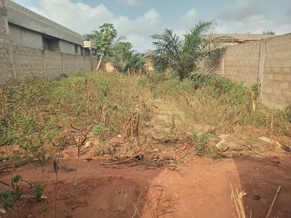 Terrain clôturé à vendre à vakpossito (lométogo), Terrain à vendre Lomé, maritime