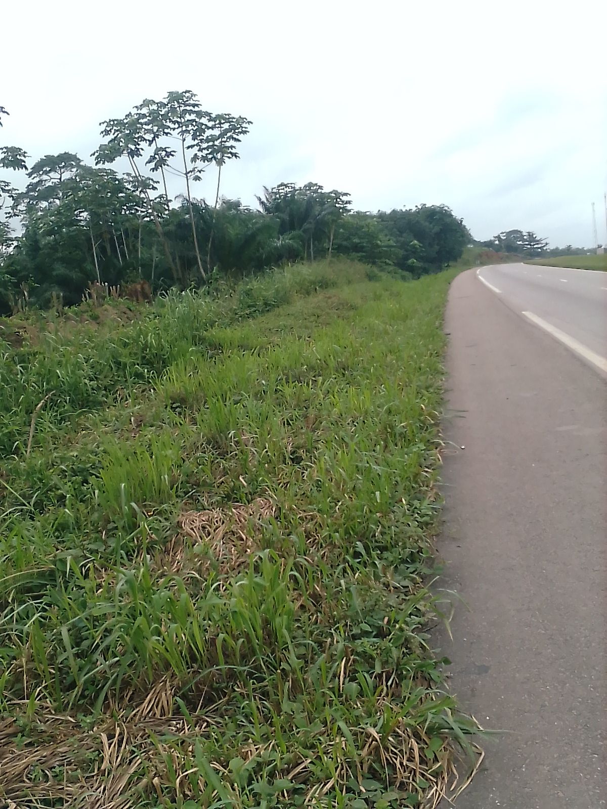 Parcelle terrain 40 hectares aux pk 38