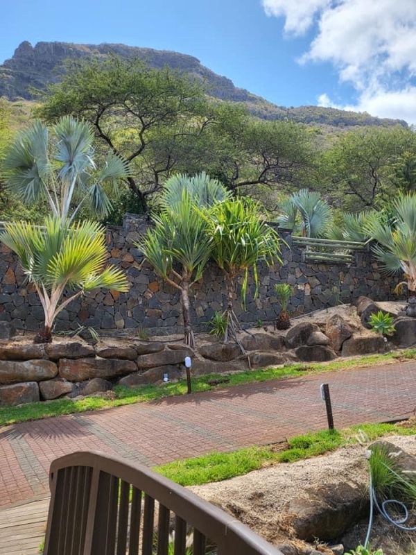 Villa with pool , House for rent Mauritius