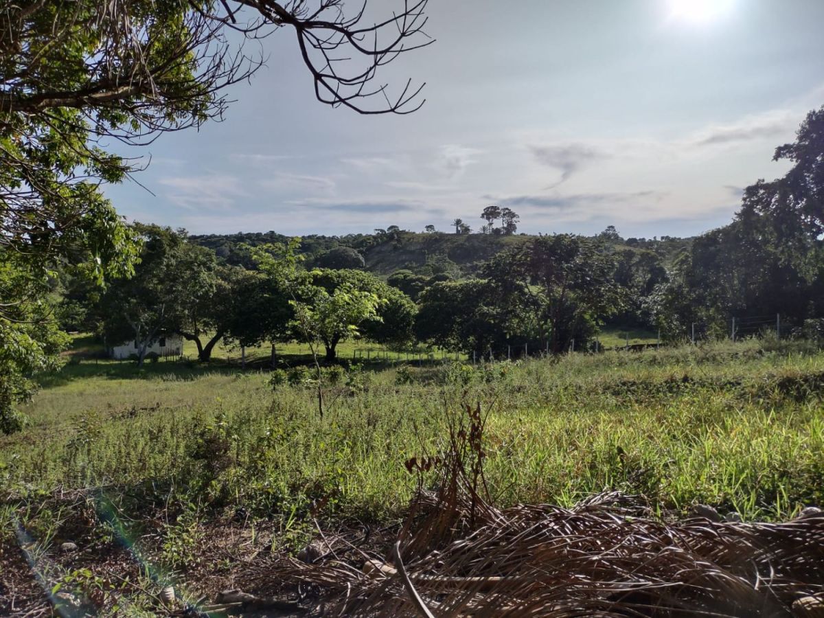 Fazenda on the island of itaparica, Other property for sale Itaparica