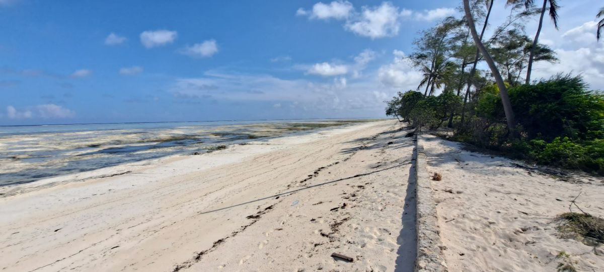 Zanzibar land for sale makanduchi region 7,453 sqm, Sokoni