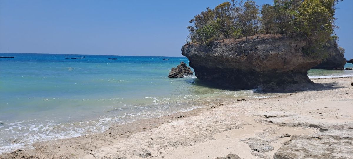 Zanzibar land for sale mangapwani region 21,446 sqm, Mangapwani, zanzibar north Tanzania