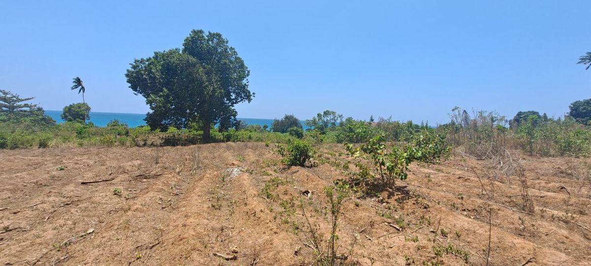 Zanzibar land for sale mangapwani region 21,446 sqm, Mangapwani