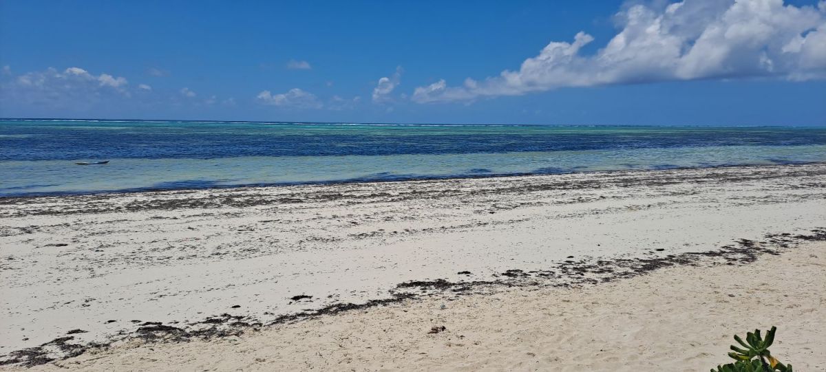 Zanzibar land for sale bweeju region 2,263 sqm, Zanzibar central