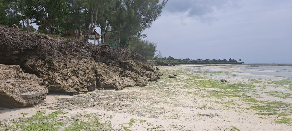 Zanzibar beach land for sale kizimkazi region 13,843 sqm, Kizimkazi