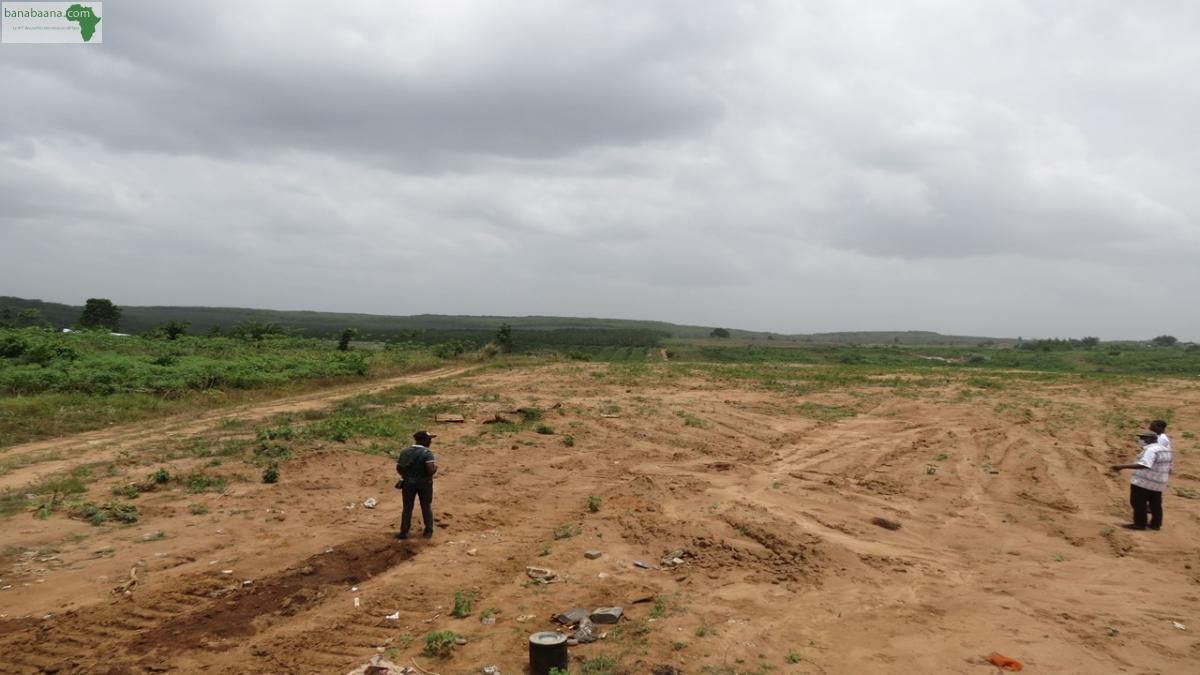 Sale land yakro town hall, Land for sale in Yamoussoukro Ivory Coast