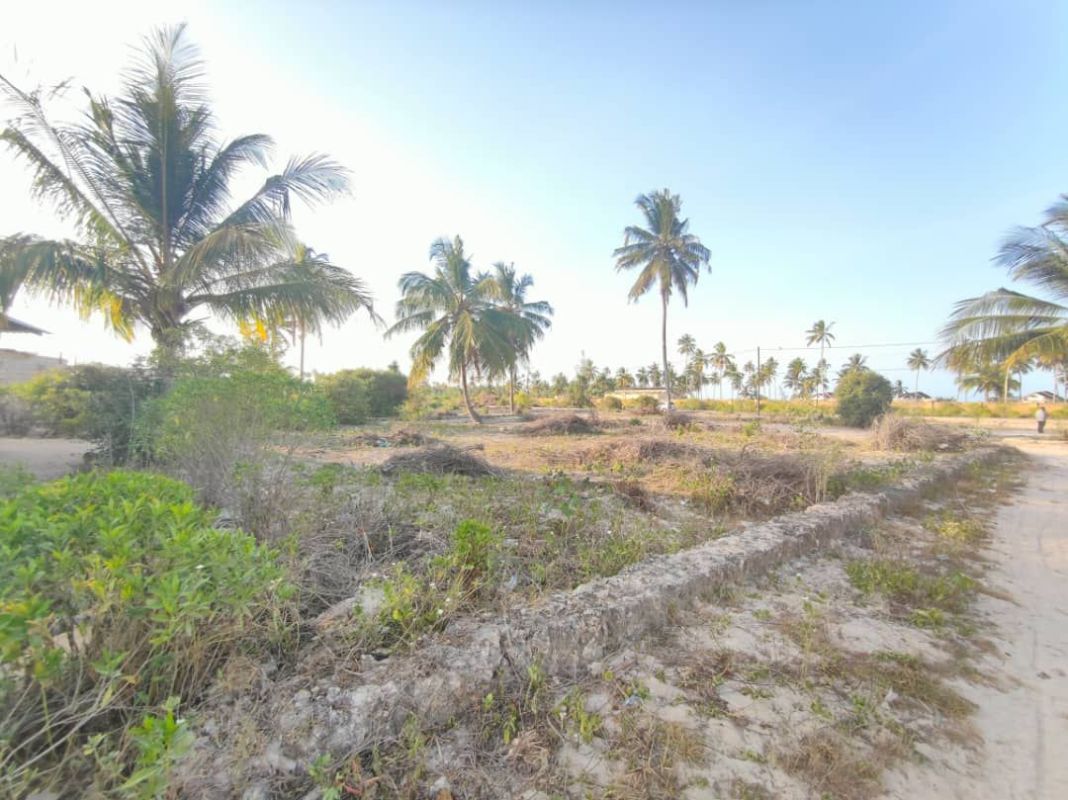 Zanzibar beach land for sale pongwe region 1,650 sqm, Zanzibar