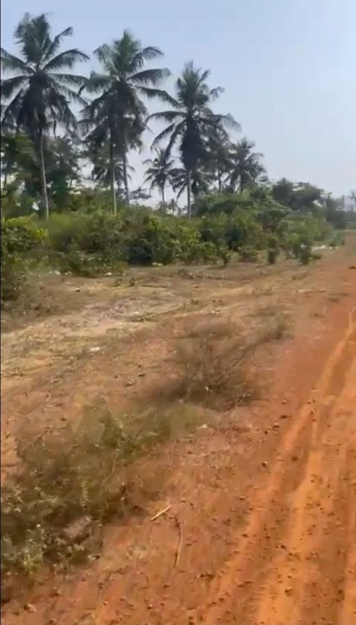 Vente à jacqueville un îlot de 16 lots de terrains , Terrain à vendre