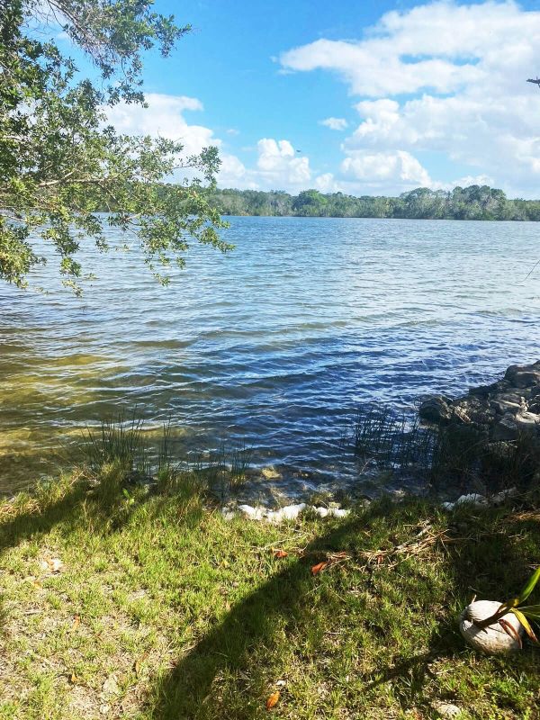 6 acres en progreso, Terreno en venta Corozal Belice