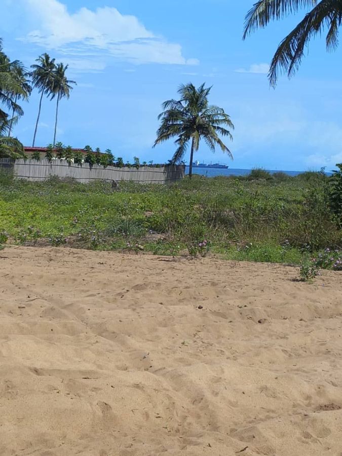 Décapage 50 hectares à songon baie des milliardaires, Terrain à vendre