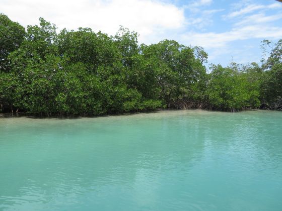 35 Acres de Hermosa Propiedad en una Isla en el Mar Caribe