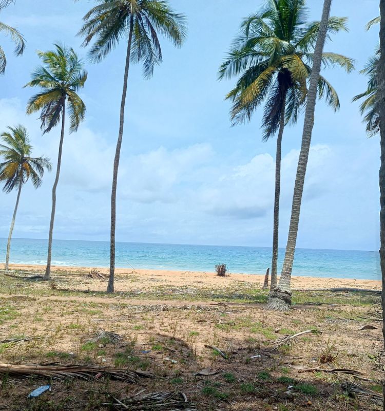 Lot 1500m² avec approbation, en bordure directe mer, est mis en vente à