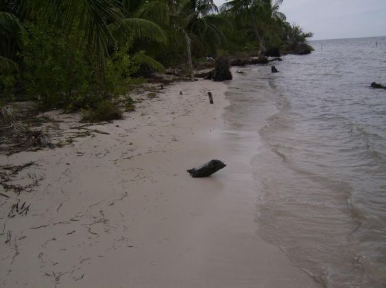 40 acres en Turneffe