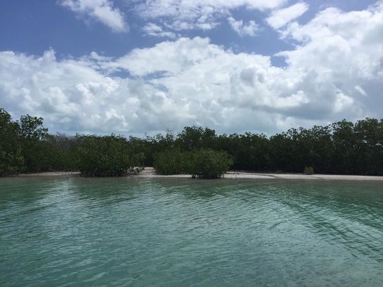 22 acri su Hick's Caye