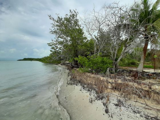 3 Prime parcelle di terreno a Sarteneja