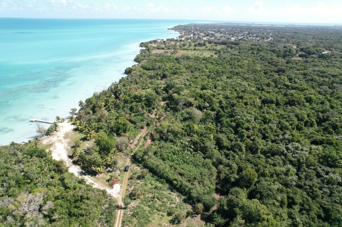 Corozalbayfront and bayview lots in beautiful sarteneja village, Land