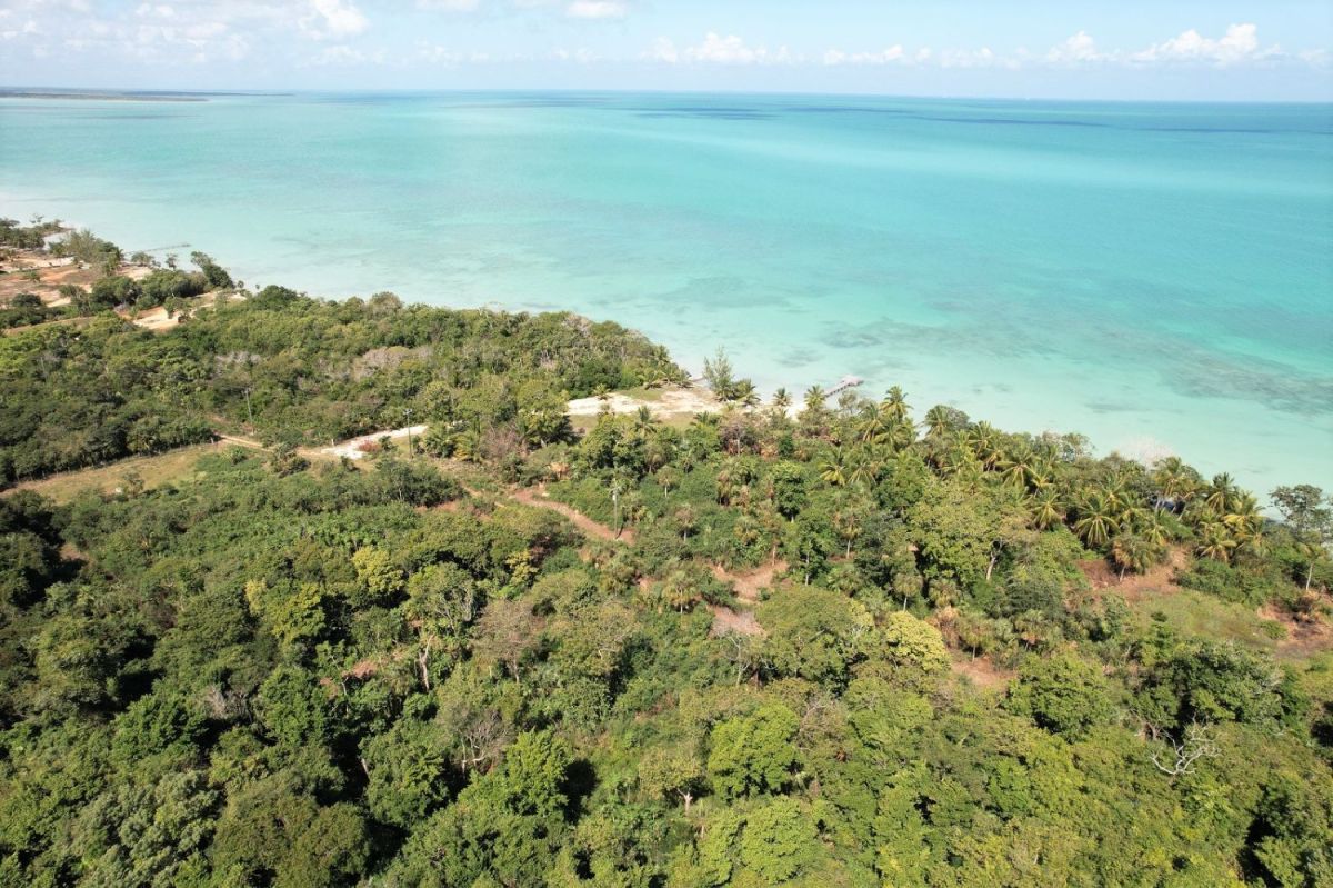 Corozalbayfront and bayview lots in beautiful sarteneja village, Land