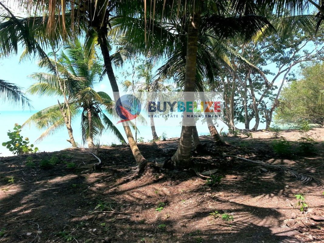 Corozalbayfront and bayview lots in beautiful sarteneja village, Land