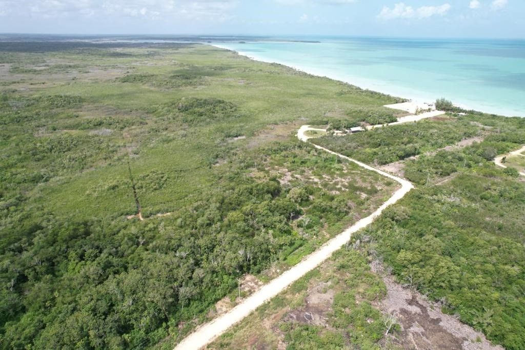 Beautiful residential lots near Sarteneja