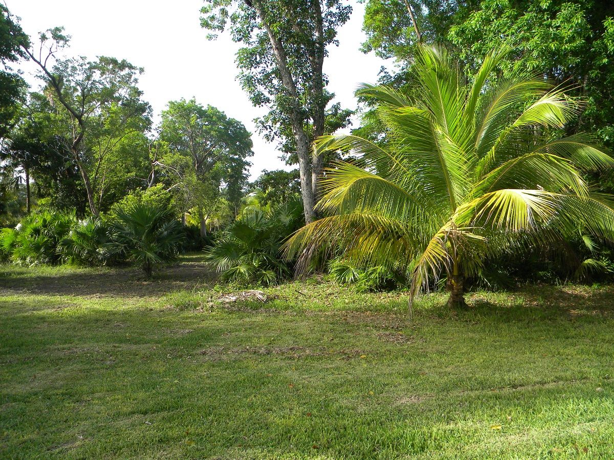 Proprietà di 1/4 acro in vendita a Corozal