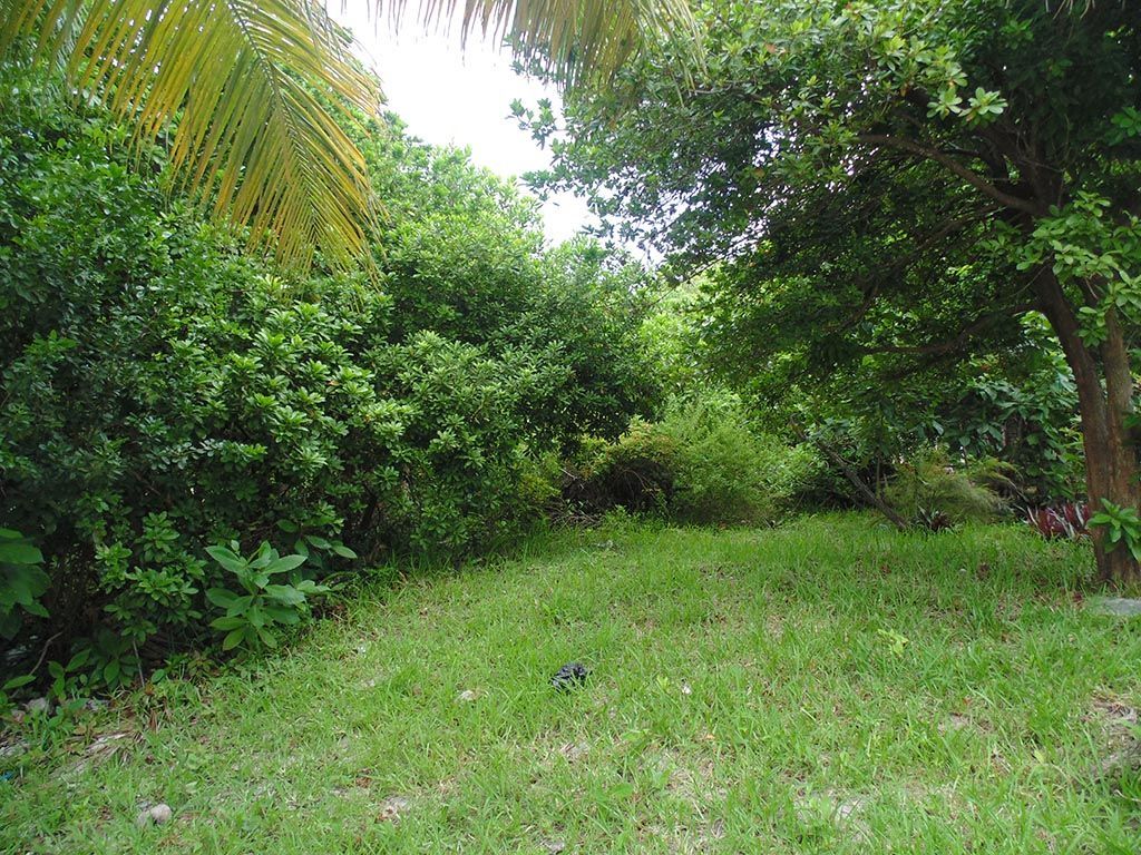 Beautiful residential lot in san pedro ambergris caye, Land for sale