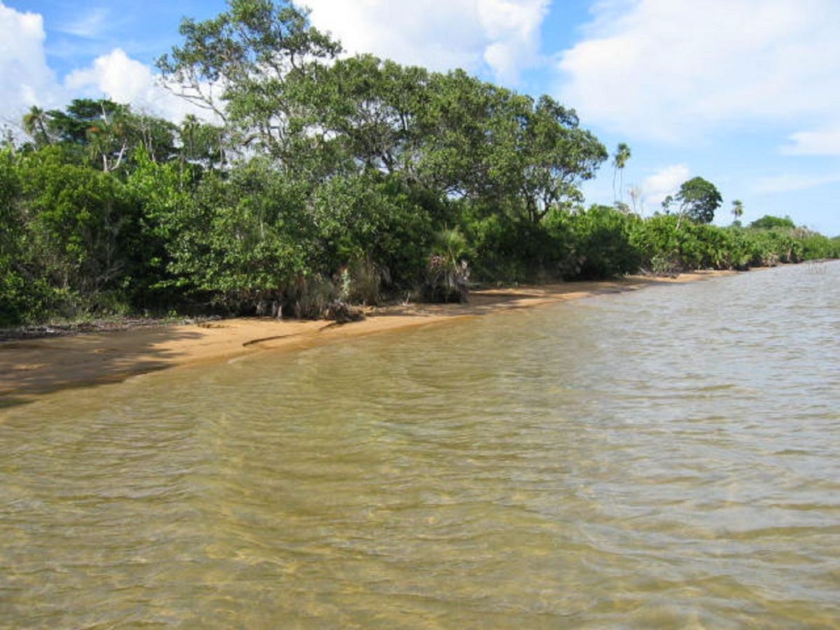 300 acres in stann creek, Land for sale in Belize