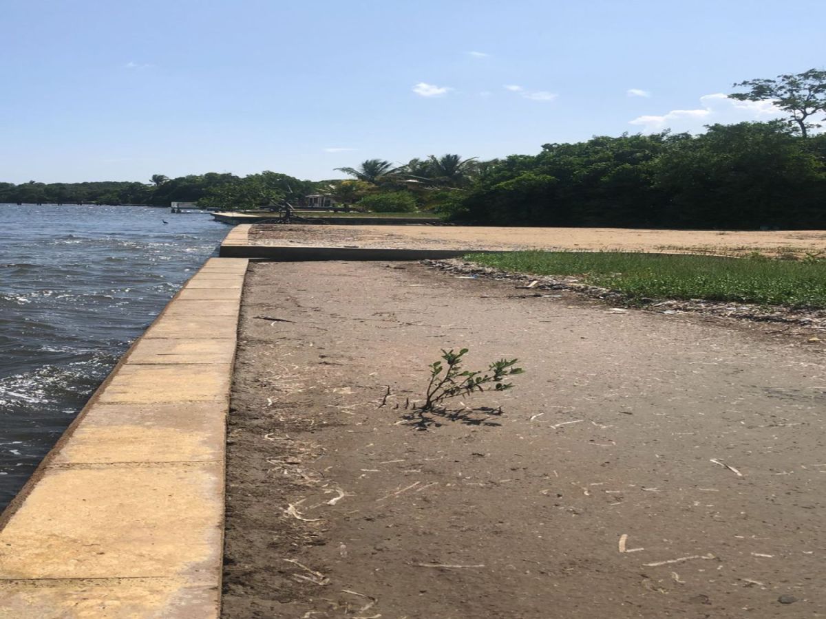 Oceanfront lot for sale in sittee point, hopkins, Land for sale Sittee