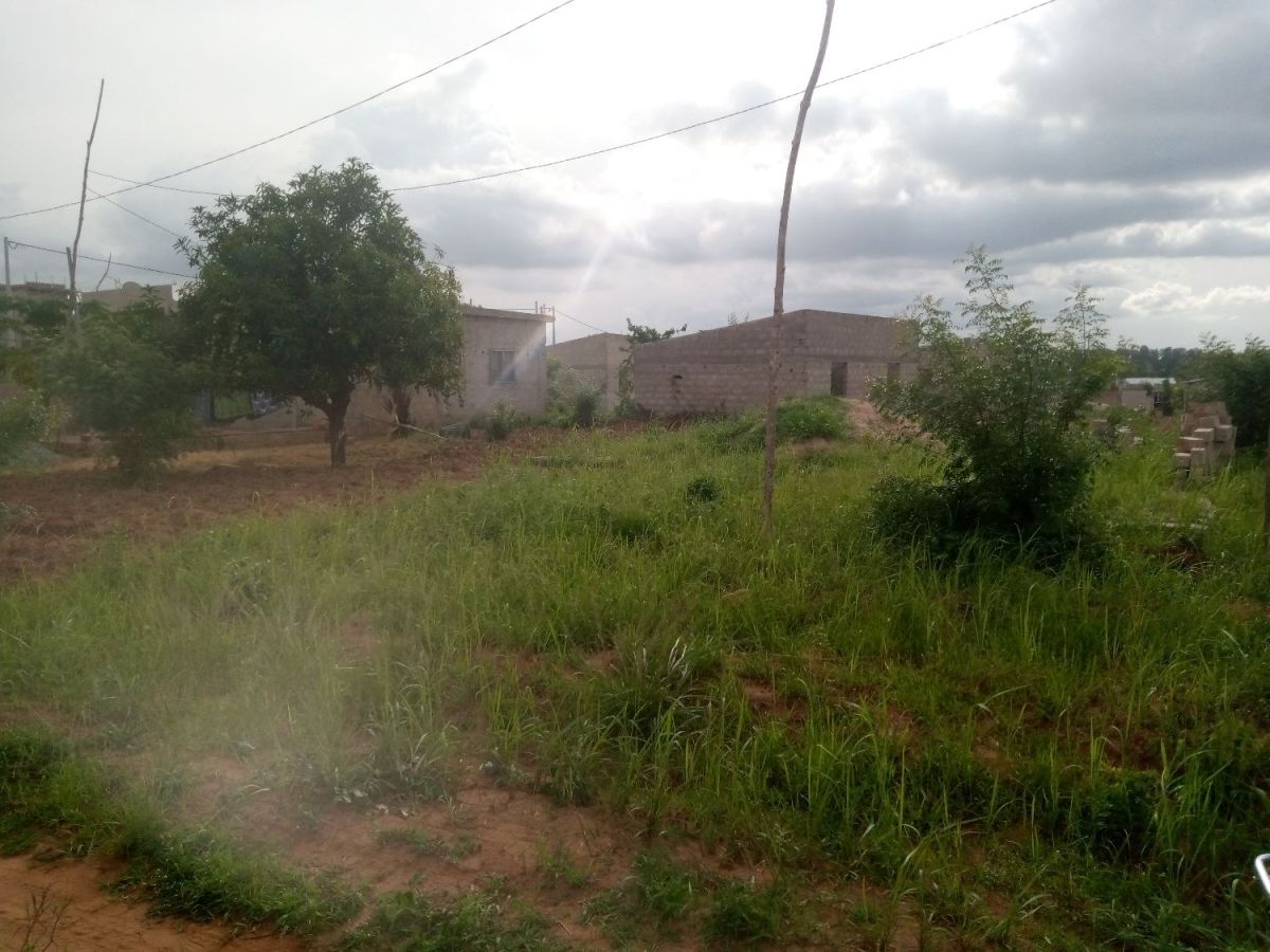 A vendre demi lot, zanguera , Terrain à vendre Lomé, maritime Togo