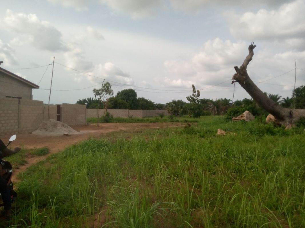 A vendre demi lot, zanguera , Terrain à vendre Lomé, maritime Togo