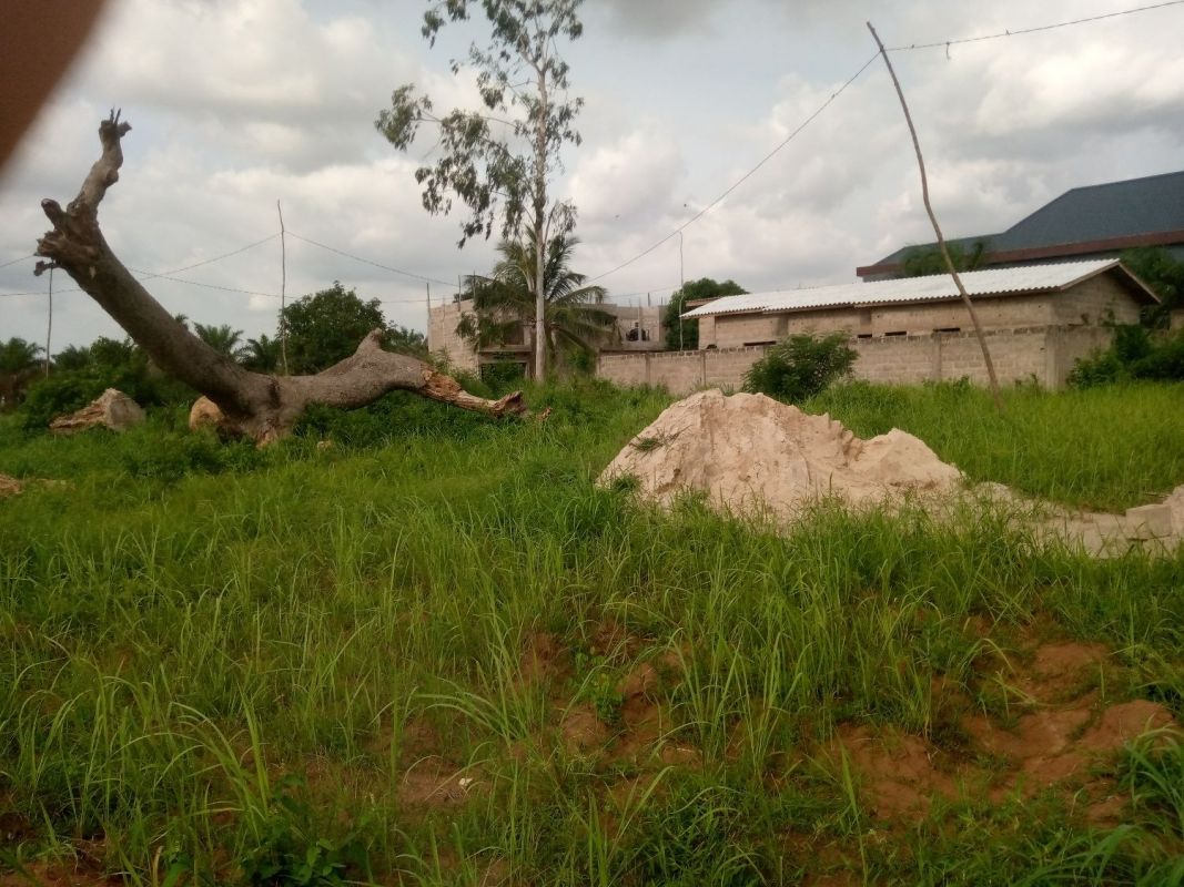 A vendre demi lot, zanguera , Terrain à vendre Lomé, maritime Togo