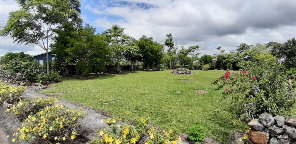 1000m2 flat lot in alto boquete ready to build , Land for sale Alto boquete, chiriquí Panama