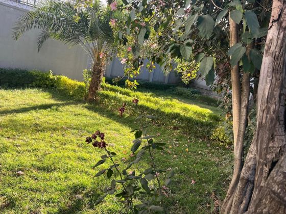 Very Beautiful house with a Big Garden ! 