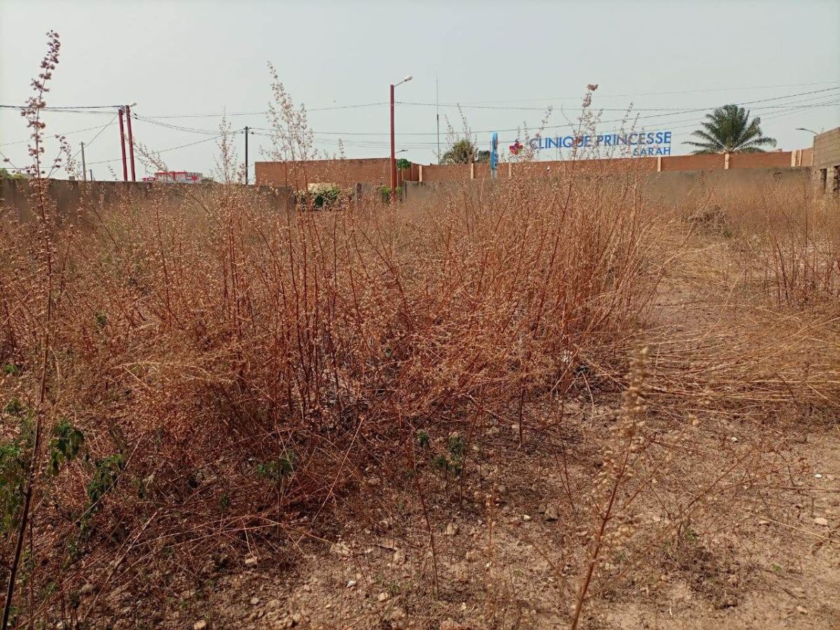 Une parcelle de 1013m² en vente a ouaga 2000 zone a, Terrain à vendre à