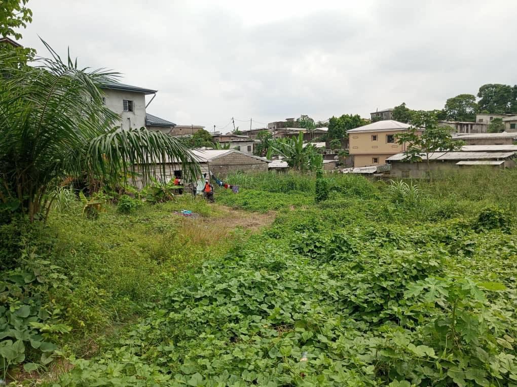 Terrain à vendre à pk10, douala, à Douala Cameroun