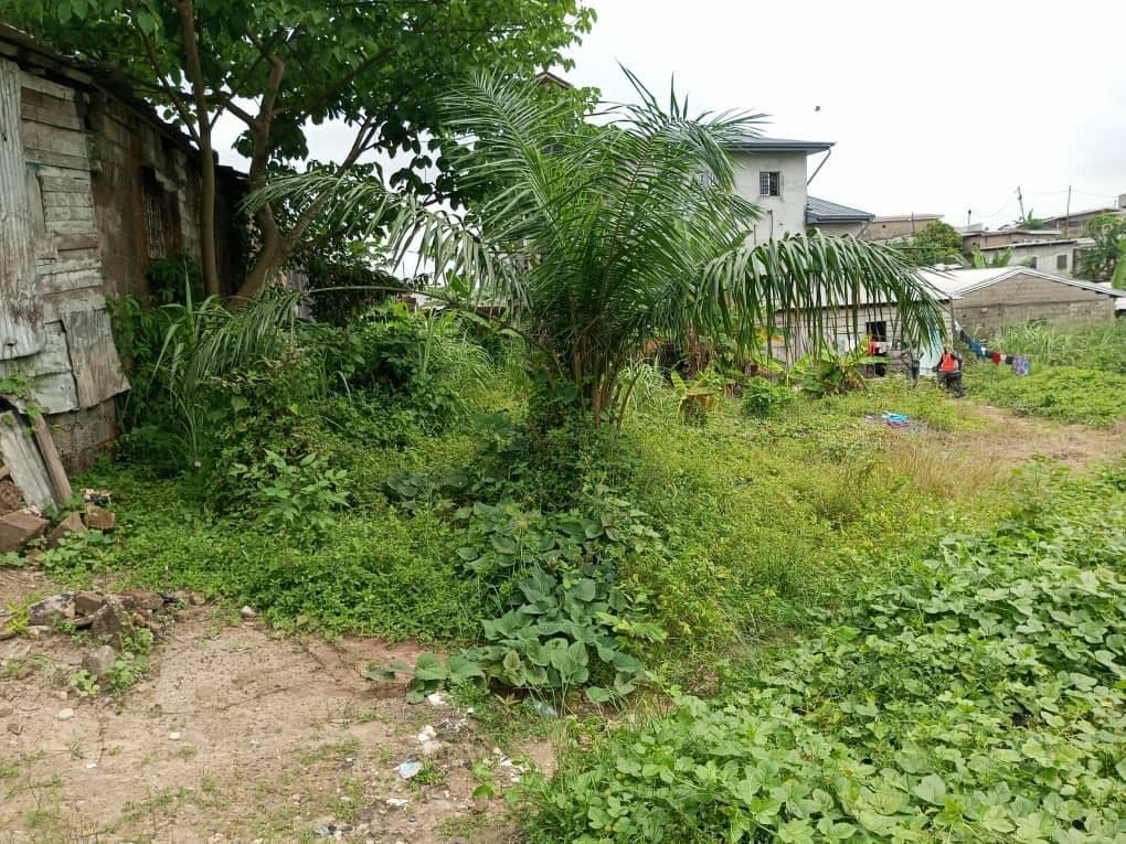 Terrain à vendre à pk10, douala, à Douala Cameroun