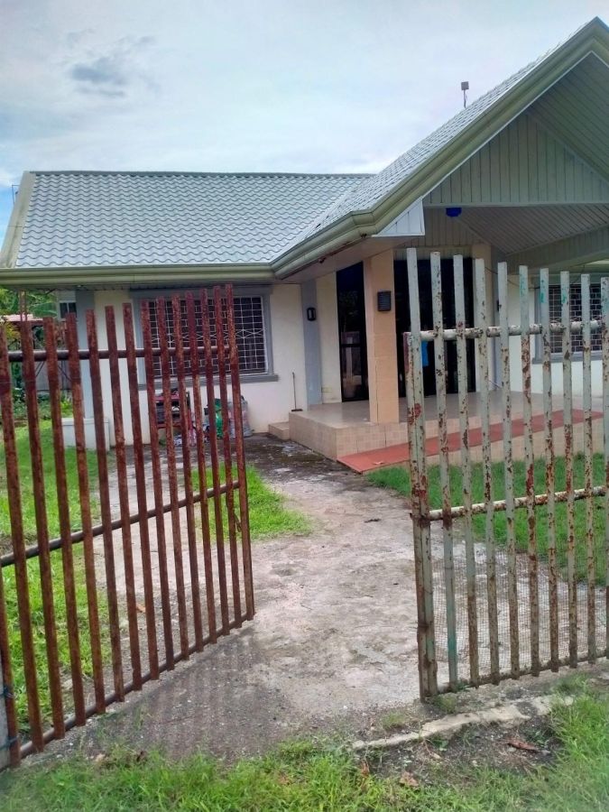 Big house and lot for sale at babak samal 4.9m, House for sale in Davao